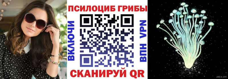 Псилоцибиновые грибы мицелий  наркотики  darknet наркотические препараты  Абаза 